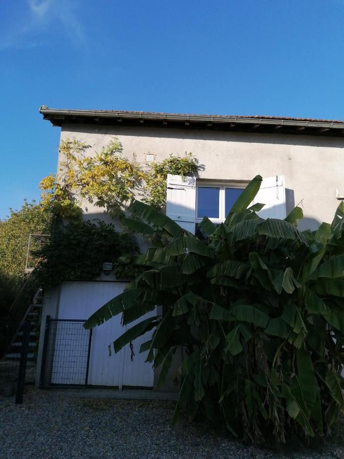 Le Grenier De Gaston Lägenhet Thouars-sur-Garonne Exteriör bild